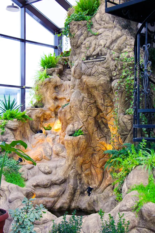 Тарасовка, зимний сад, 2012-2013 гг.