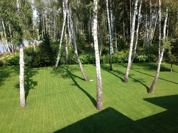 Вид с балкона