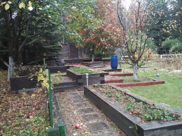 Сад с озером