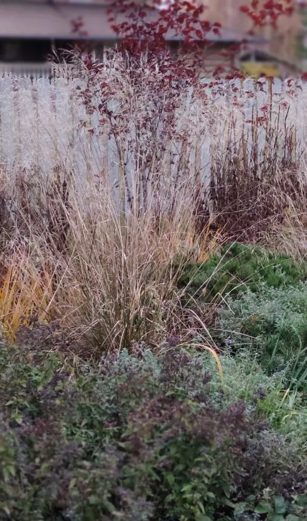 Проект "Волга"