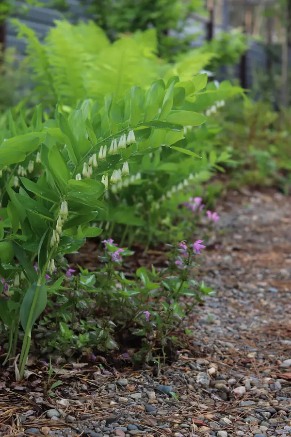 Русский лес