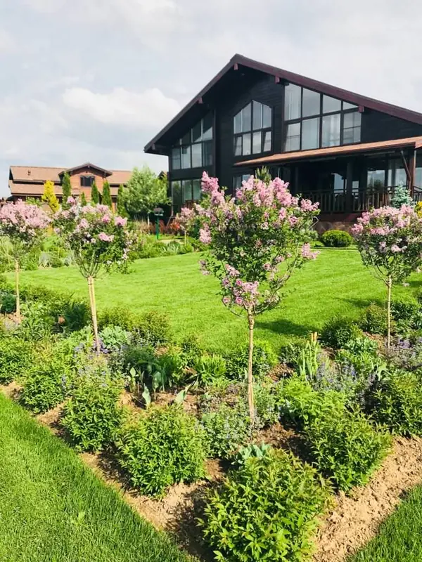 Сосновые берега