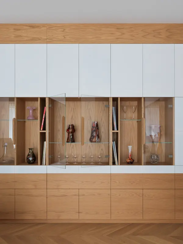 Проект Лебедь