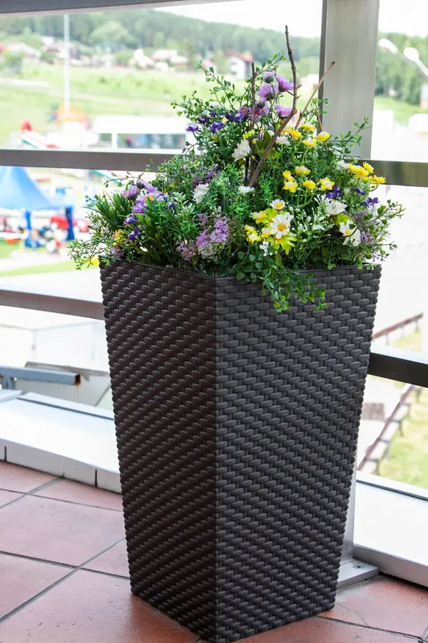 Наши проекты