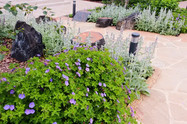 Павлово-2, 2022-2024 г.г.