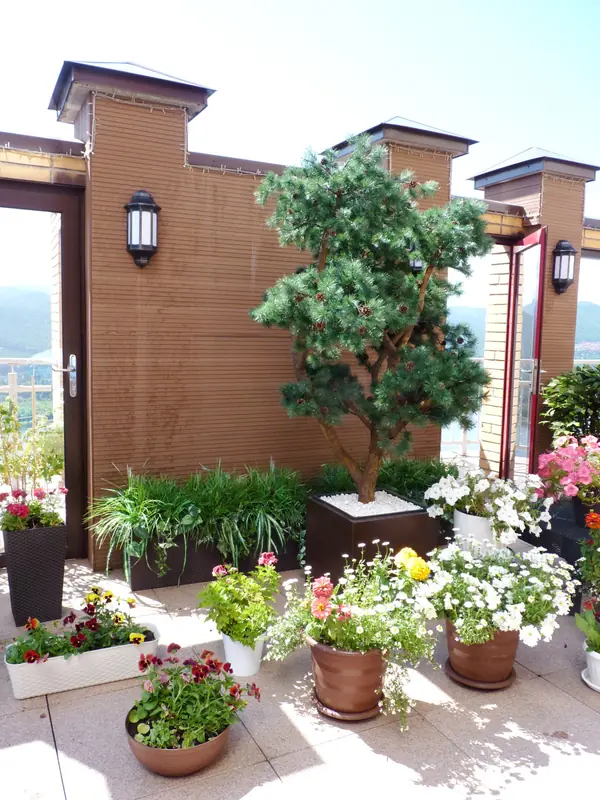 Бонсайная сосна (Ветки искусственные,высота 220см, ширина кроны 130см) Терраса с