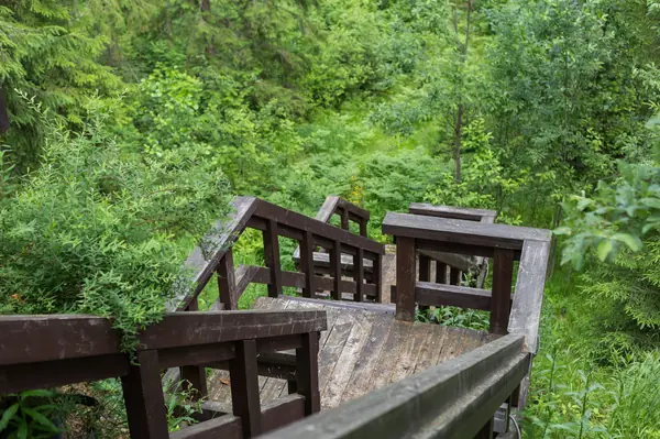 Стеклянный дом в лесу