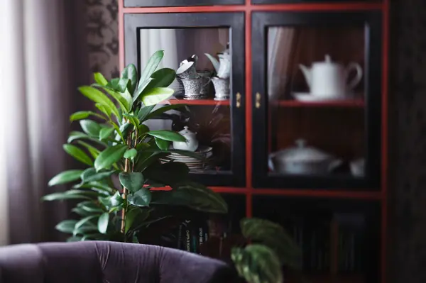 частная квартира в жилом комплексе Доминион