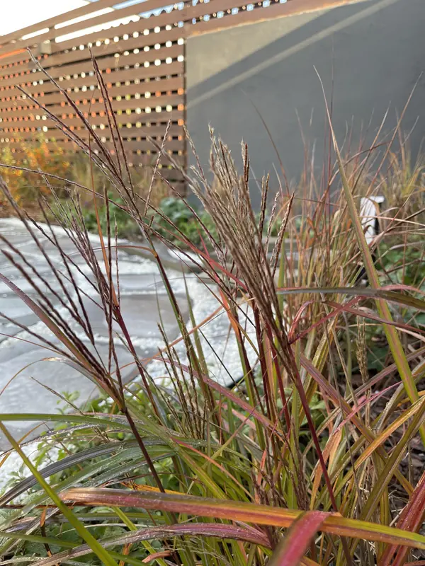 КП "Кратово"