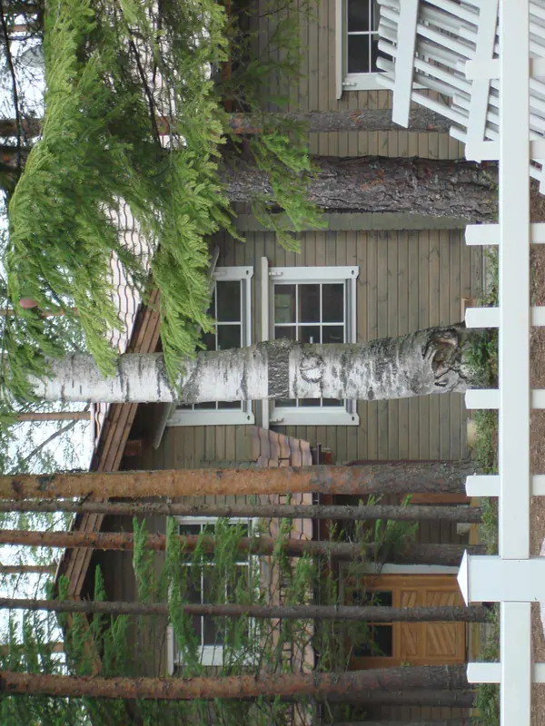 Коттеджный поселок (совместно с Honka)