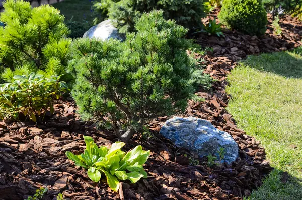 Избушка на опушке