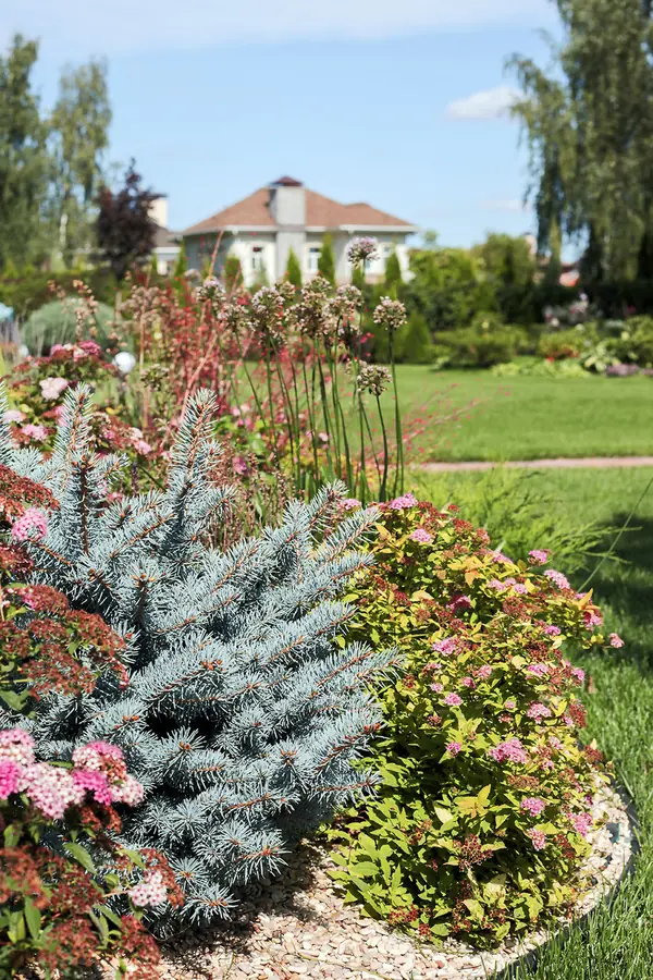 Ландшафтный дизайн приусадебного участка