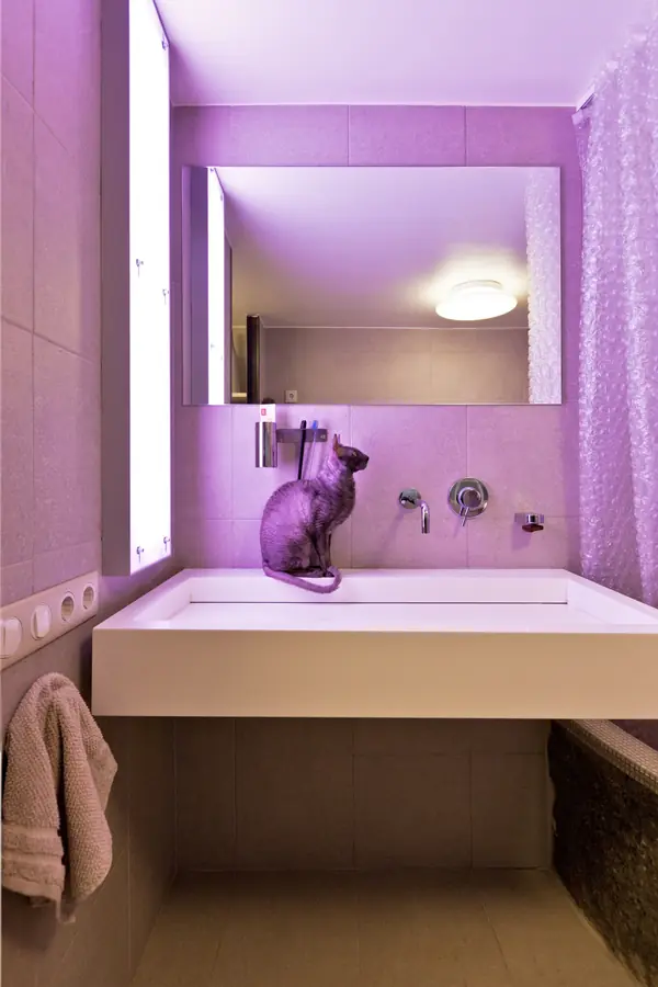 ЛОФТ на ЗАГОРОДНОМ