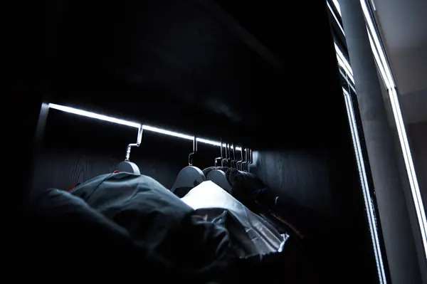 Шкаф-купе raumplus рамка R1200 темная бронза с LED подсветкой