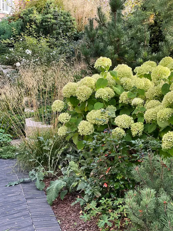 Английская история