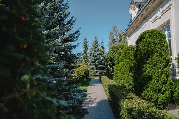 Регулярный сад