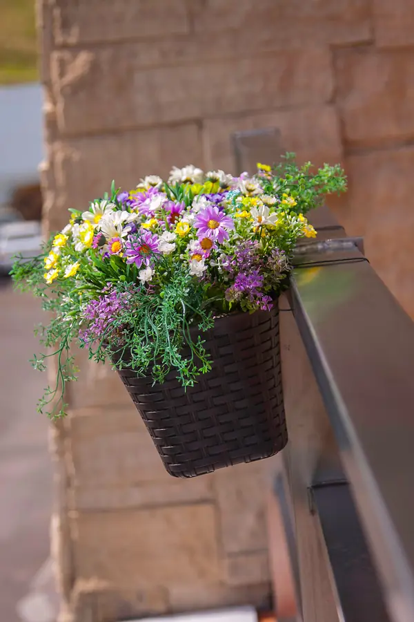 Наши проекты