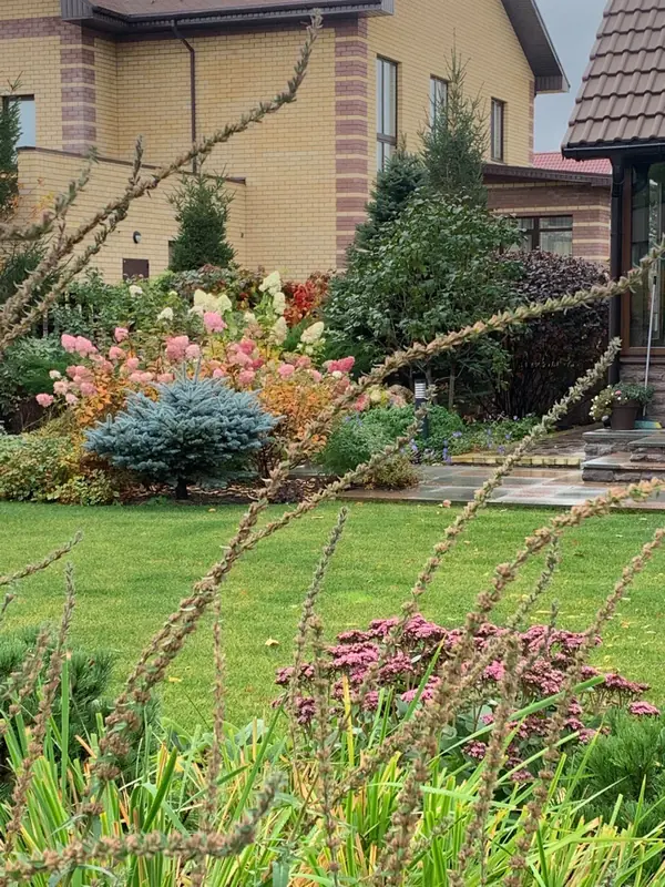 Сад свежести