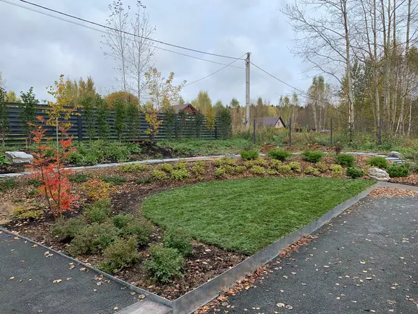 Проект " В тонких линиях "