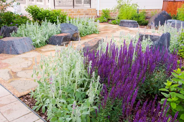 Павлово-2, 2022-2024 г.г.