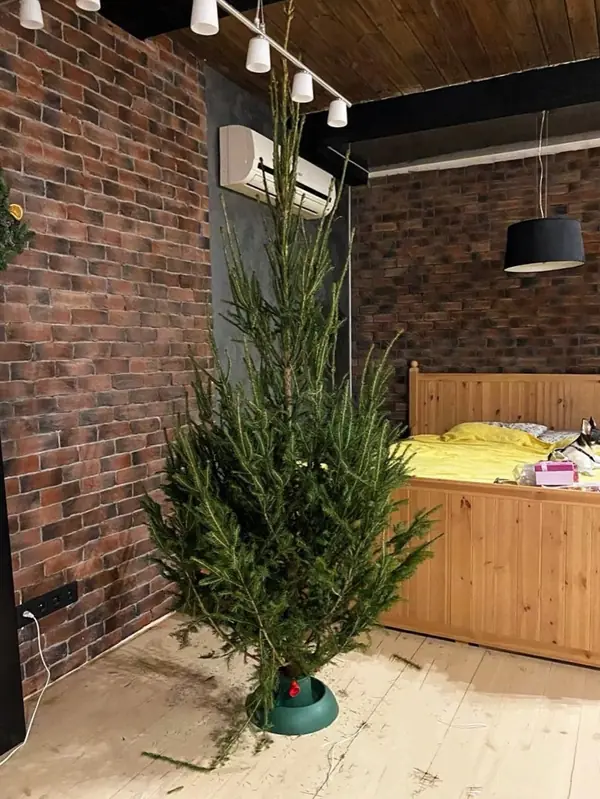 небольшая квартира для молодой пары в историческом центре