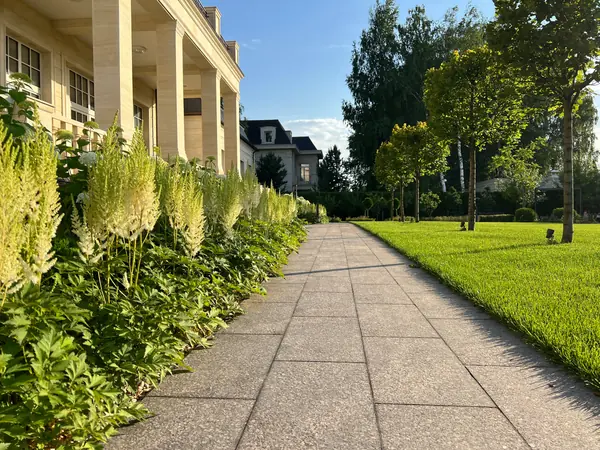 Классика вне времени