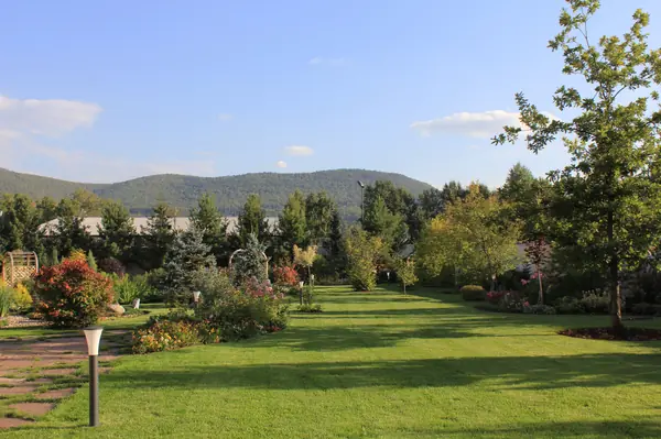 Реализованные проекты