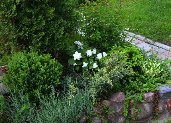 Наш сад / Our garden