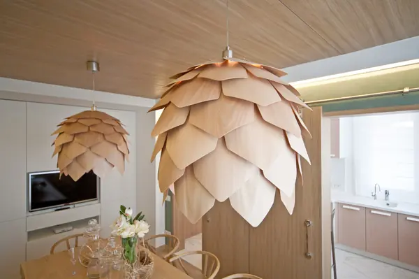 Кухня-столовая с шишками