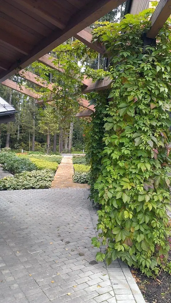 Малые архитектурные формы (МАФ)