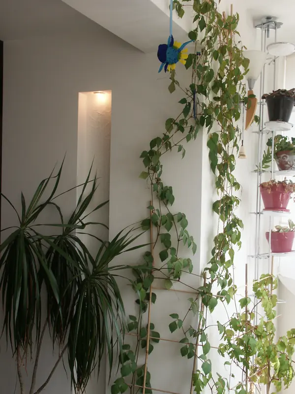 Интересная  квартира с витражами    для хозяев из Прибалтики