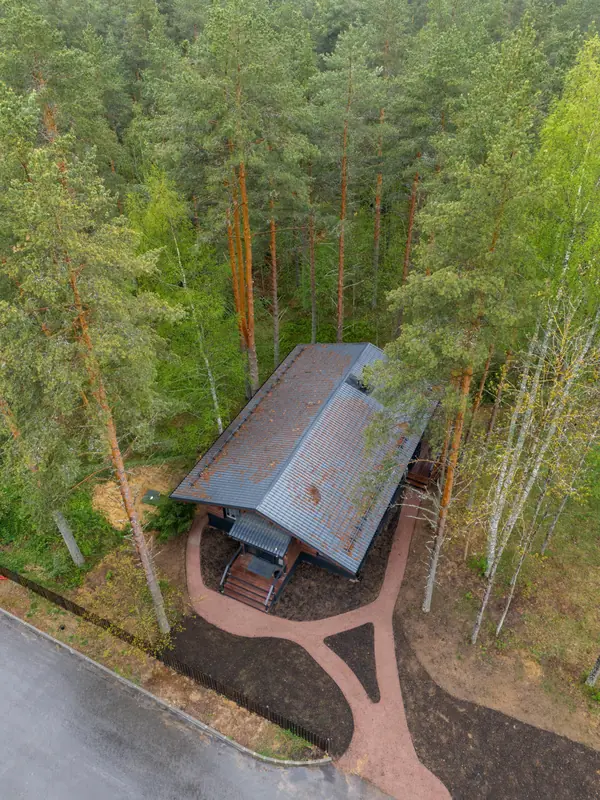 Каркасный дом в сосновом лесу