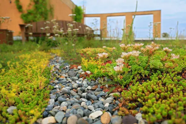 Сад на крыше