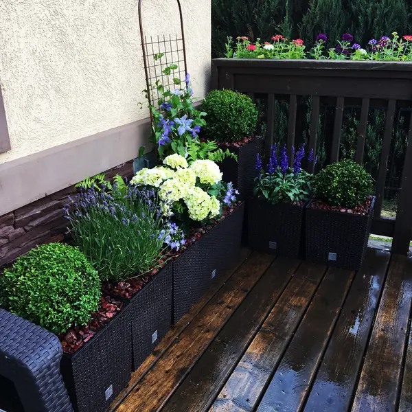 Летний сад на террасе