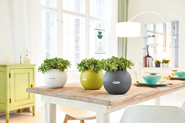 Маленький шар с большим эффектом