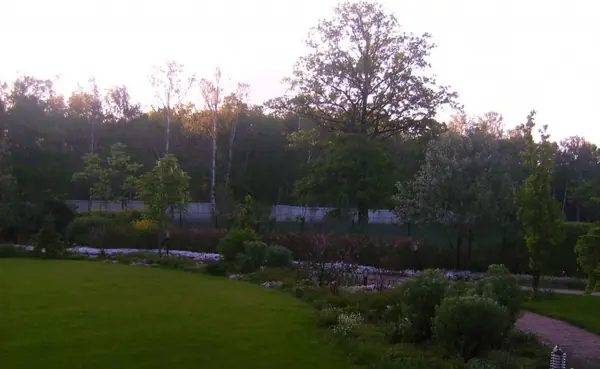 Подмосковный  вечер в лучах заката.