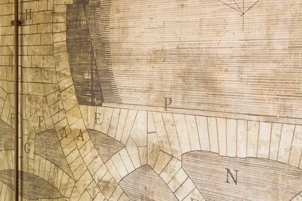 Москва, Куркино, 2010г