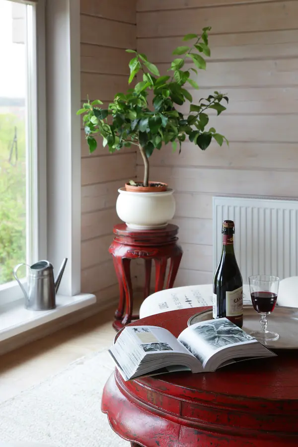 Частный дом, Звенигородский регион