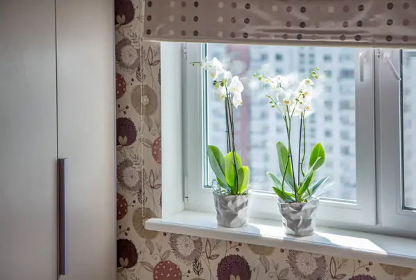 Квартира на Юго-Западе