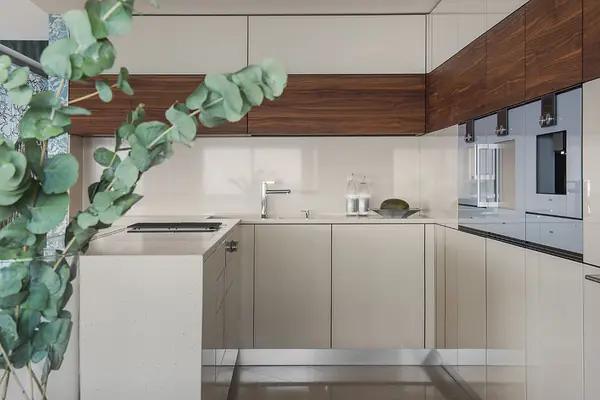 Двухуровневый пентхаус