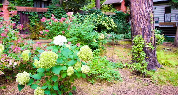 Баковка, 2018 г.