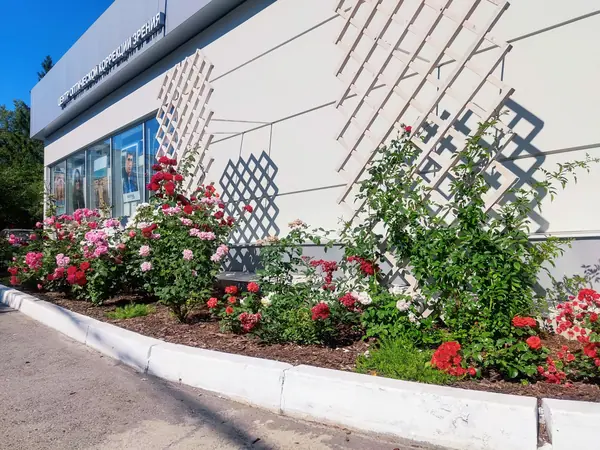 МИКРОХИРУРГИЯ ГЛАЗА ИМ. АКАДЕМИКА С. Н. ФЕДОРОВА, ЧЕБОКСАРСКИЙ ФИЛИАЛ