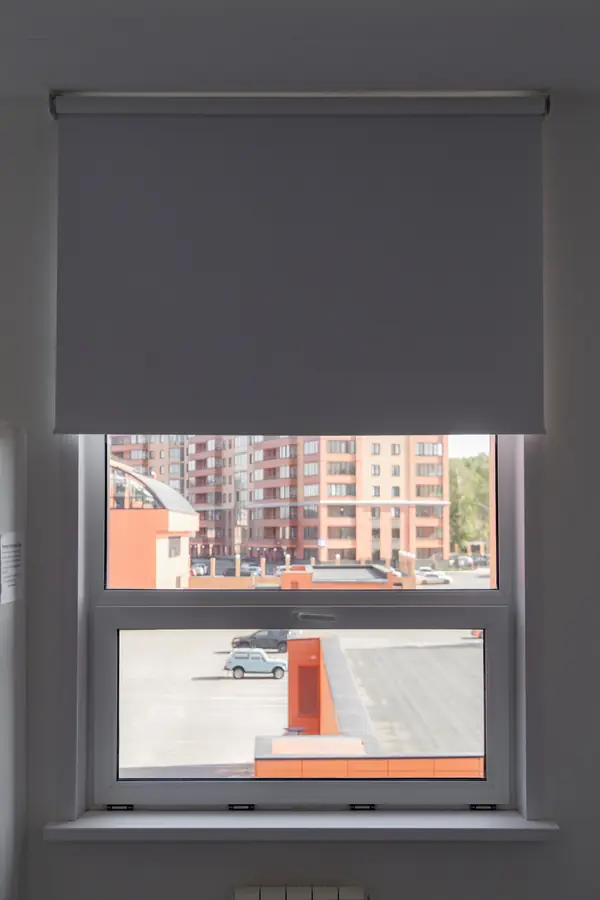 Рулонные шторы с тканью блэкаут