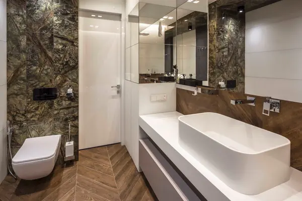 ВЛАДИМИР СТЕКЛОВ | Vladimir Steklov