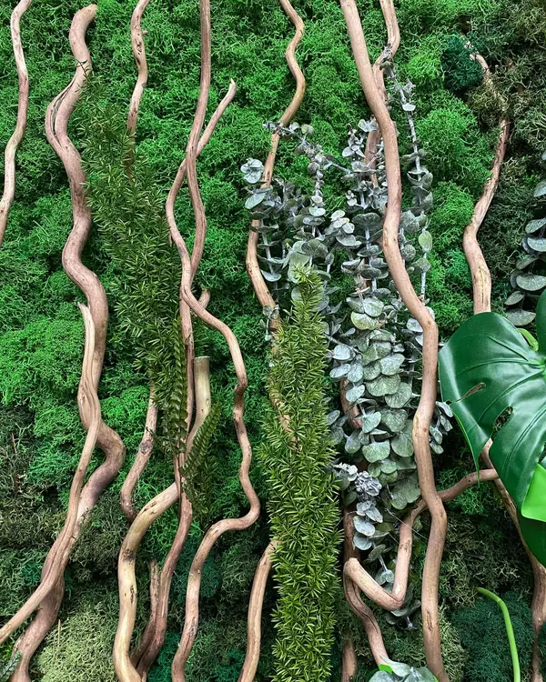 Стабилизированные и искусственные растения