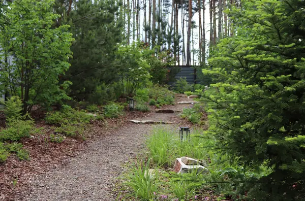 Русский лес