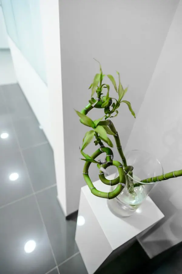 Стоматологическая клиника