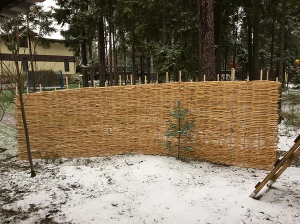 Плетеные изгороди. Плетни.