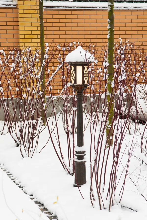 От знакомства до последнего цветника 6 месяцев