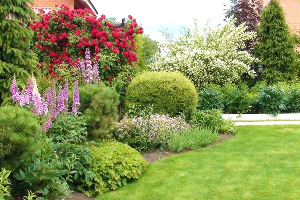 Наши работы